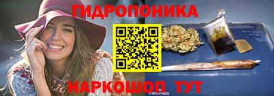 спайс Гай